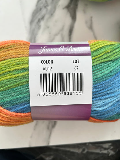 James C Brett Aurora DK – 5 x 100g AU12 Meadow Flowers